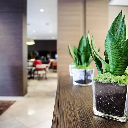 享受加尔达湖酒店 4* 佩斯基耶拉德加达