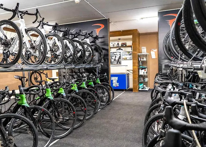 Enjoy Garda 4* פסקיארה דל גארדה